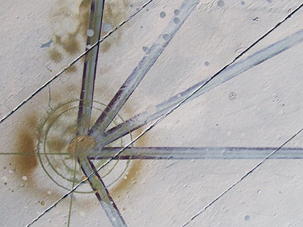 Baum des Lebens im Therapieraum