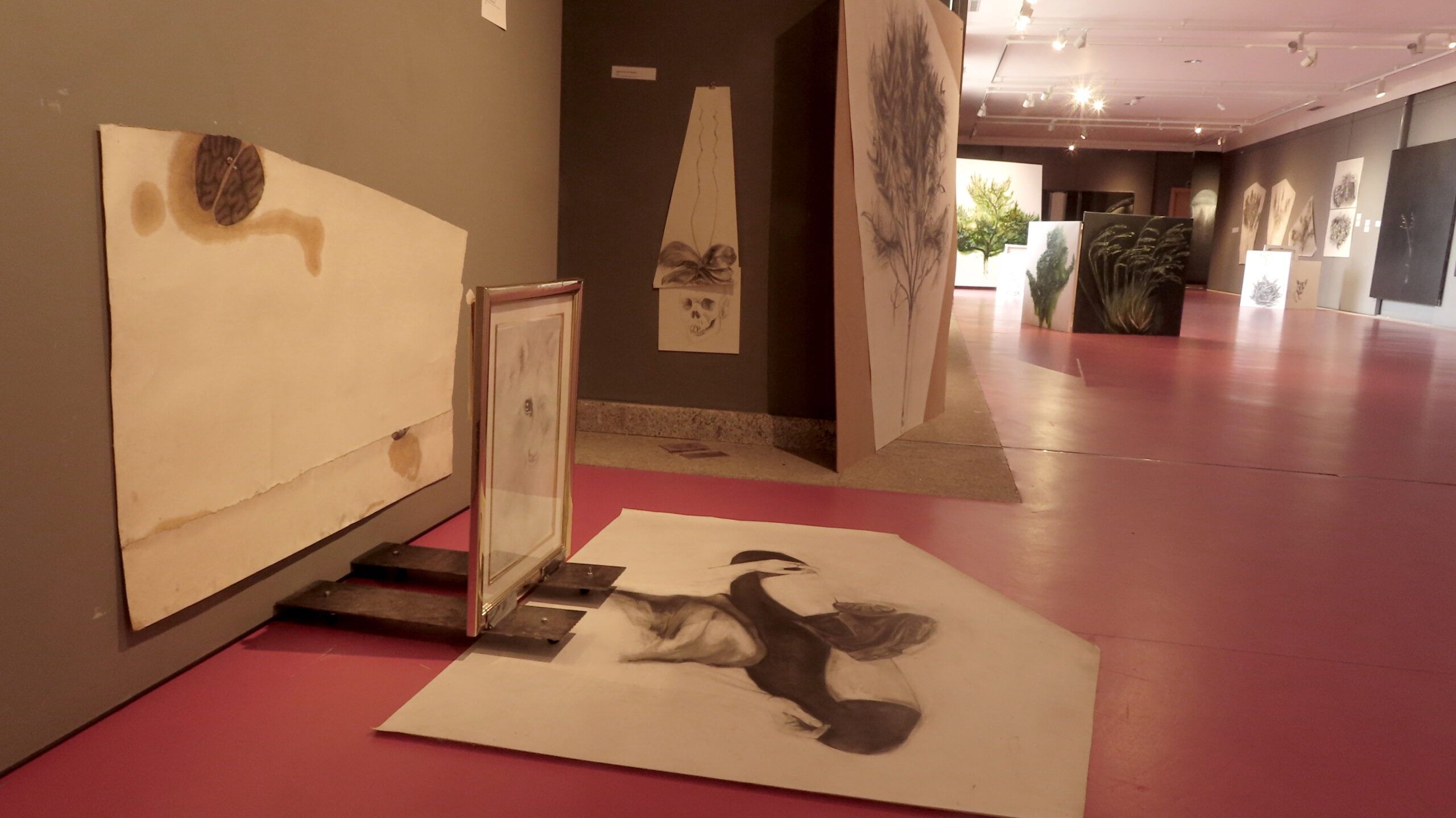 El realizar un dibujo en progreso en la sala de exposiciones me ha permitido establecer mucha comunicación con las personas que han visitado la exposición.